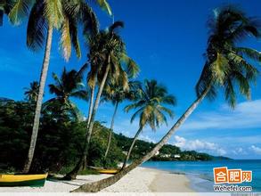 ���������p�w5���Σ������M(j��n)����ɢ������l(f��)